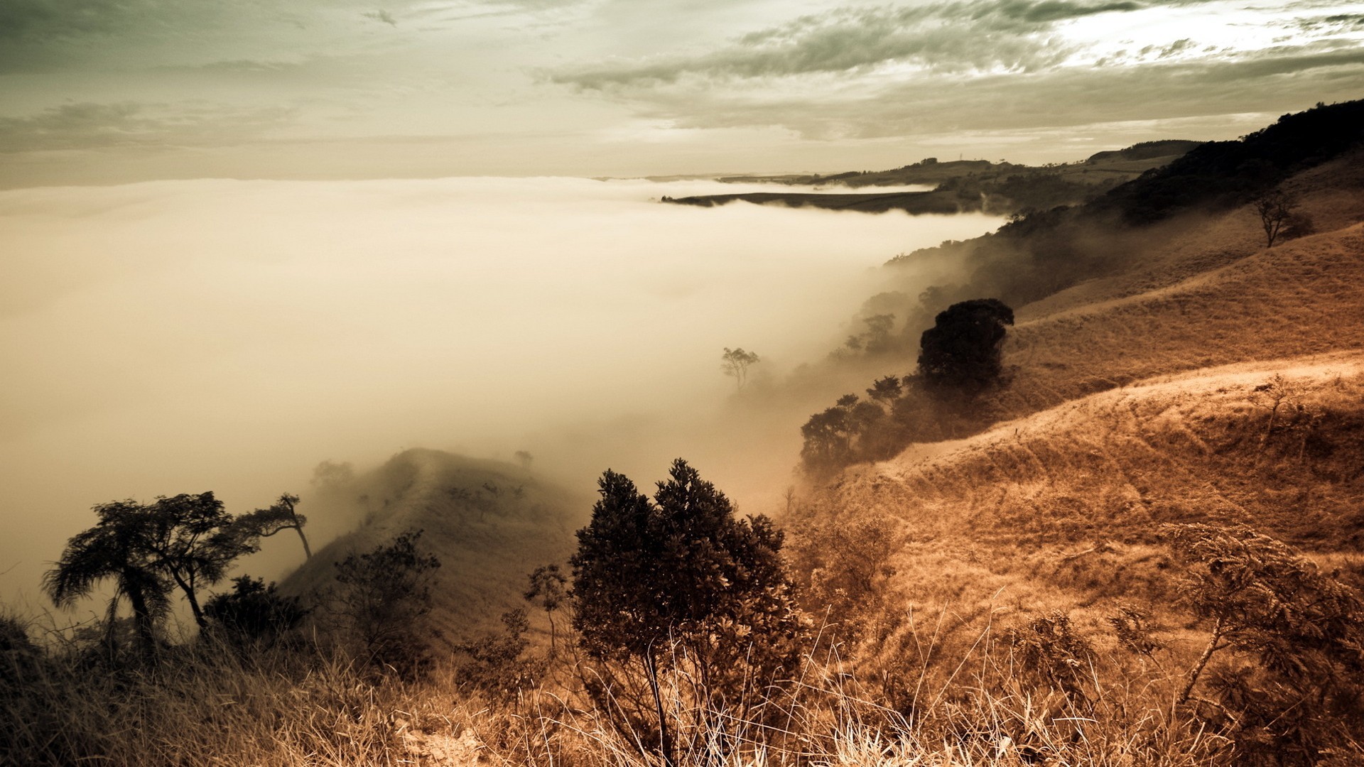mist, Fog, Landscape Wallpaper