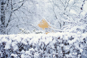 norway, Oslo, Winter, Snow, House, Trees