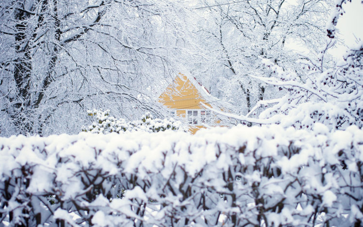 norway, Oslo, Winter, Snow, House, Trees HD Wallpaper Desktop Background