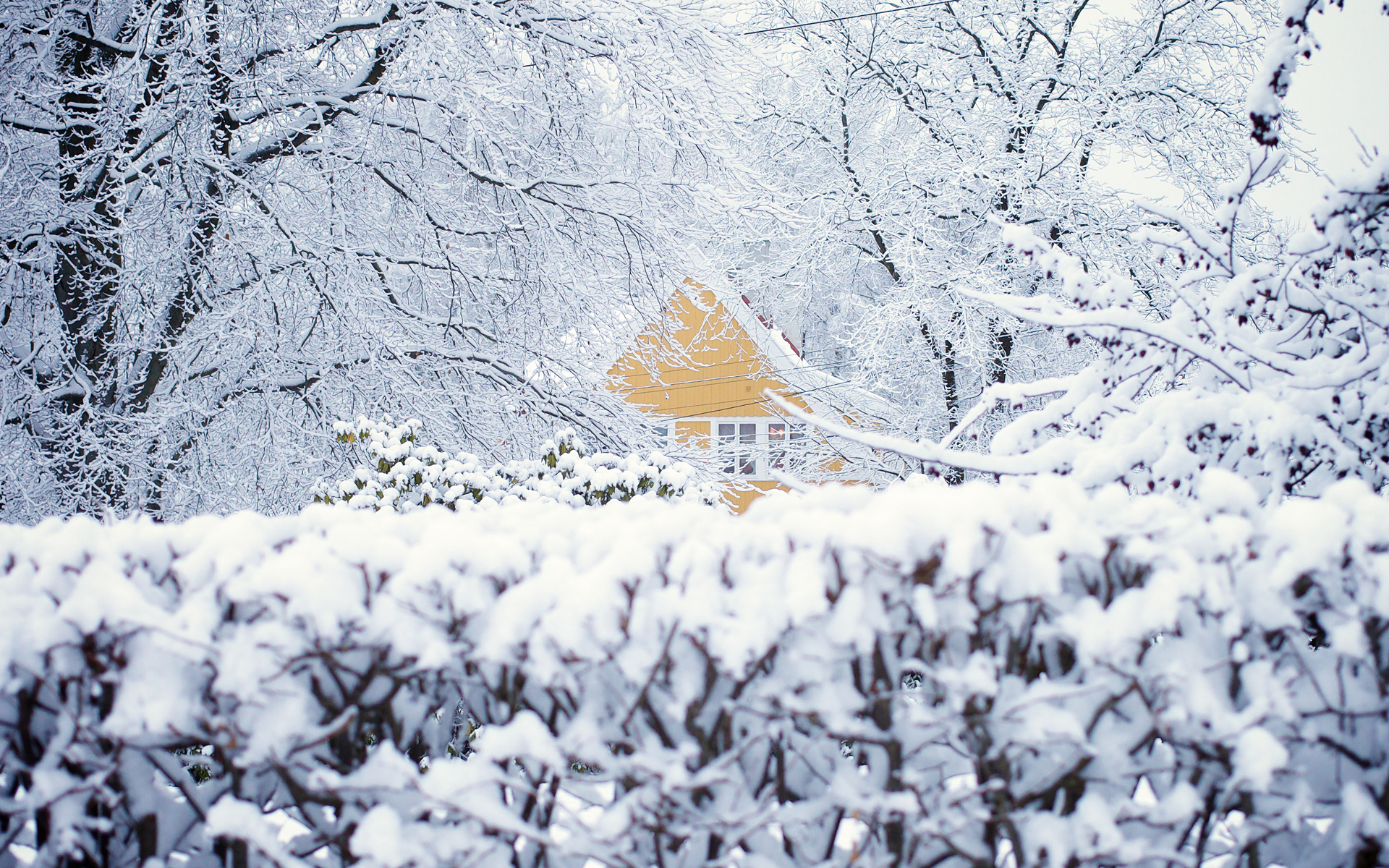 norway, Oslo, Winter, Snow, House, Trees Wallpaper