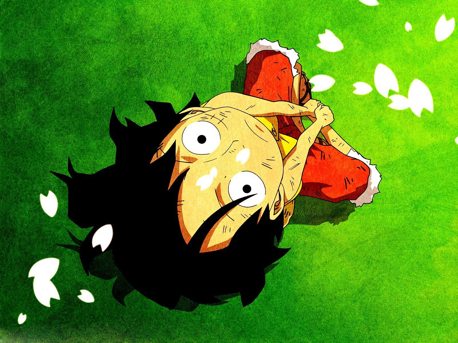 one, Piece, Series, Anime, Characters, Petals Wallpaper
