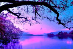 colors landscapes nature trees water