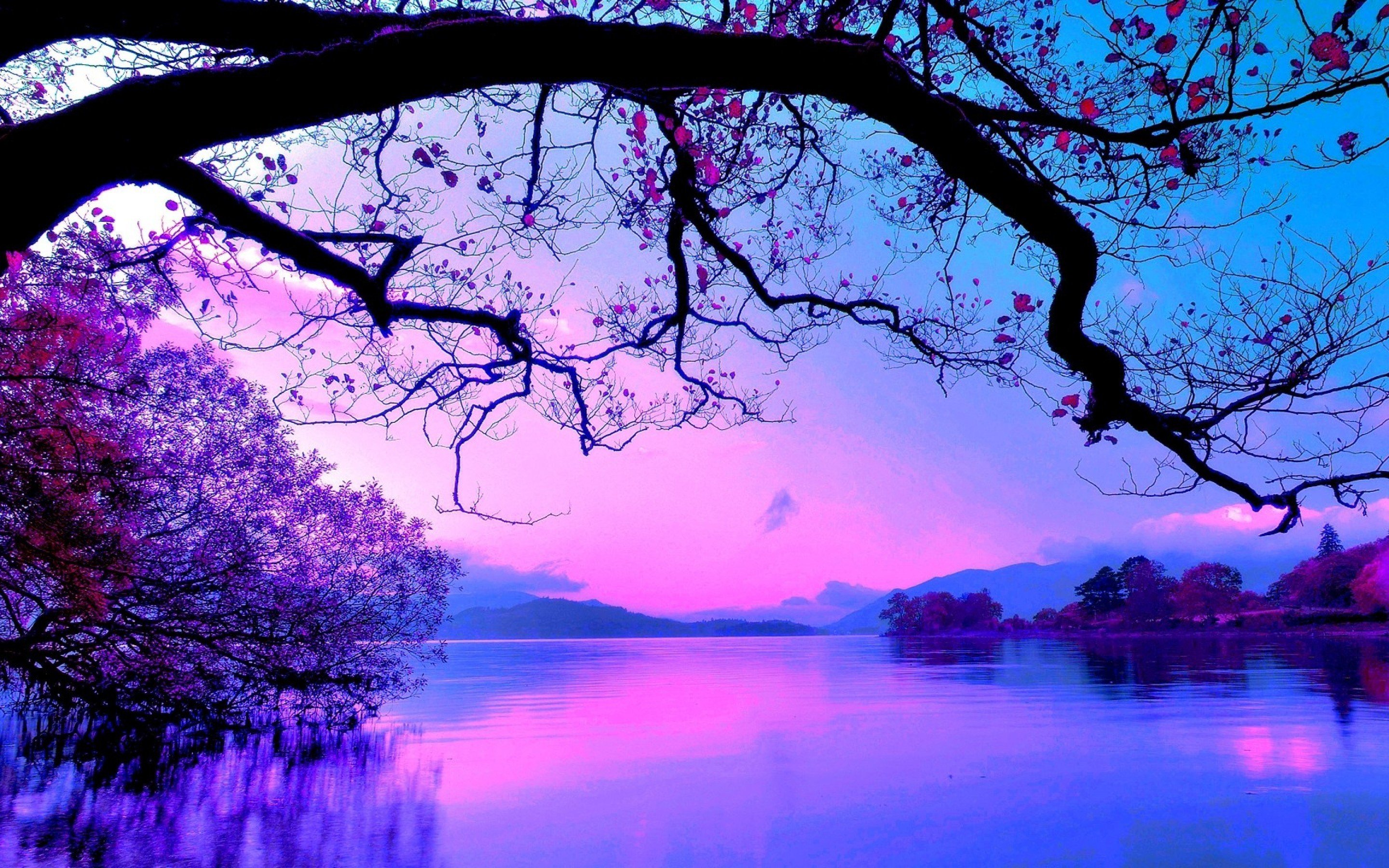 colors landscapes nature trees water Wallpaper