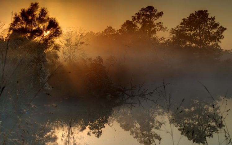 nature, Sky, Tree, Sunset, Fog, Lake HD Wallpaper Desktop Background