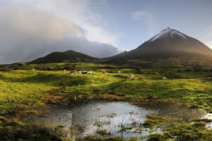 nature, Sky, Mountain, Field, Pond, Summer, Cow
