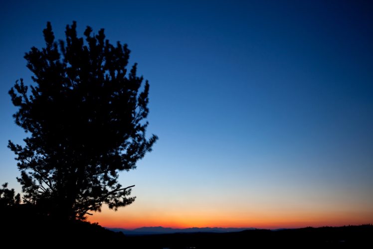 sunset, Amazing, Tree HD Wallpaper Desktop Background