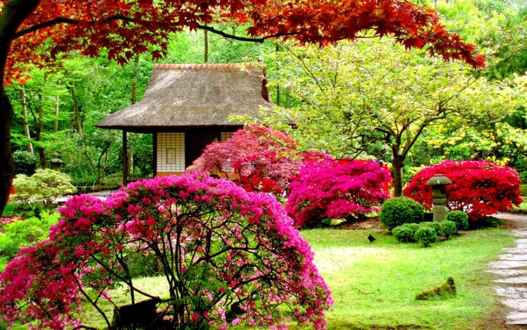 garden, Flower, Pink, Colores HD Wallpaper Desktop Background