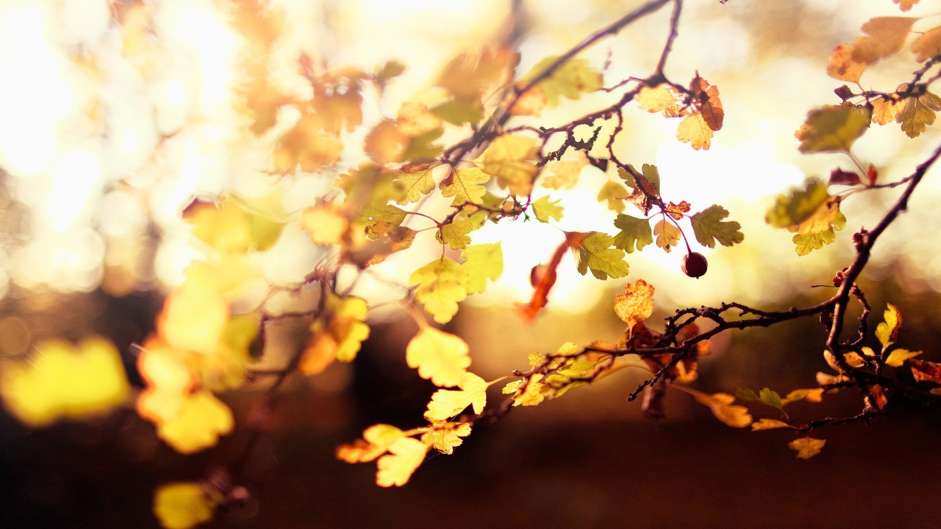 nature, Beauty, Landscape Wallpaper