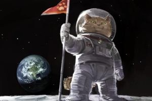ami, Thompson, Original, Cat, Space, Planets, Humor