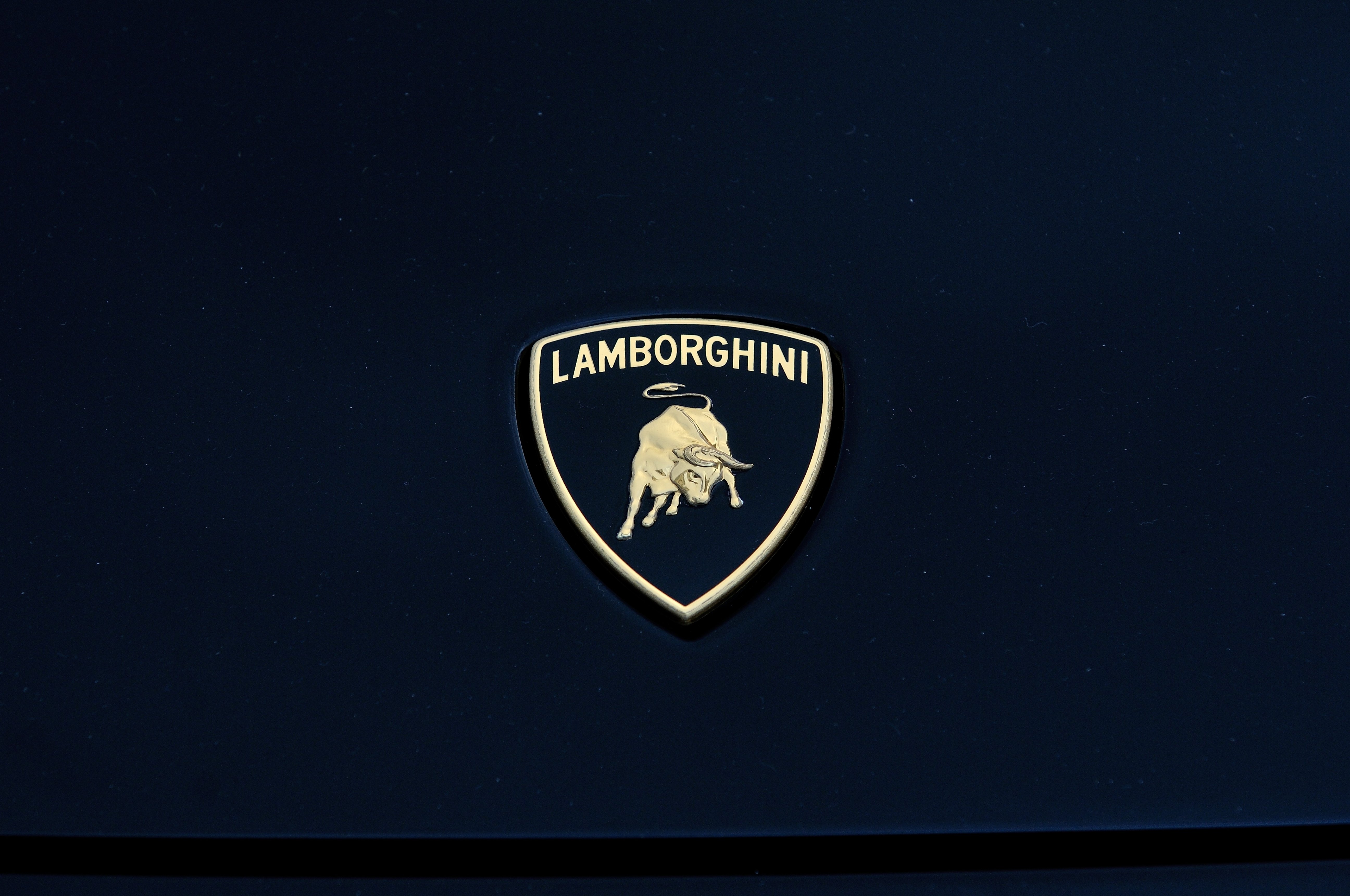 Логотип ламборгини 2024. Lamborghini logo Wallpaper. Lamborghini with logo.