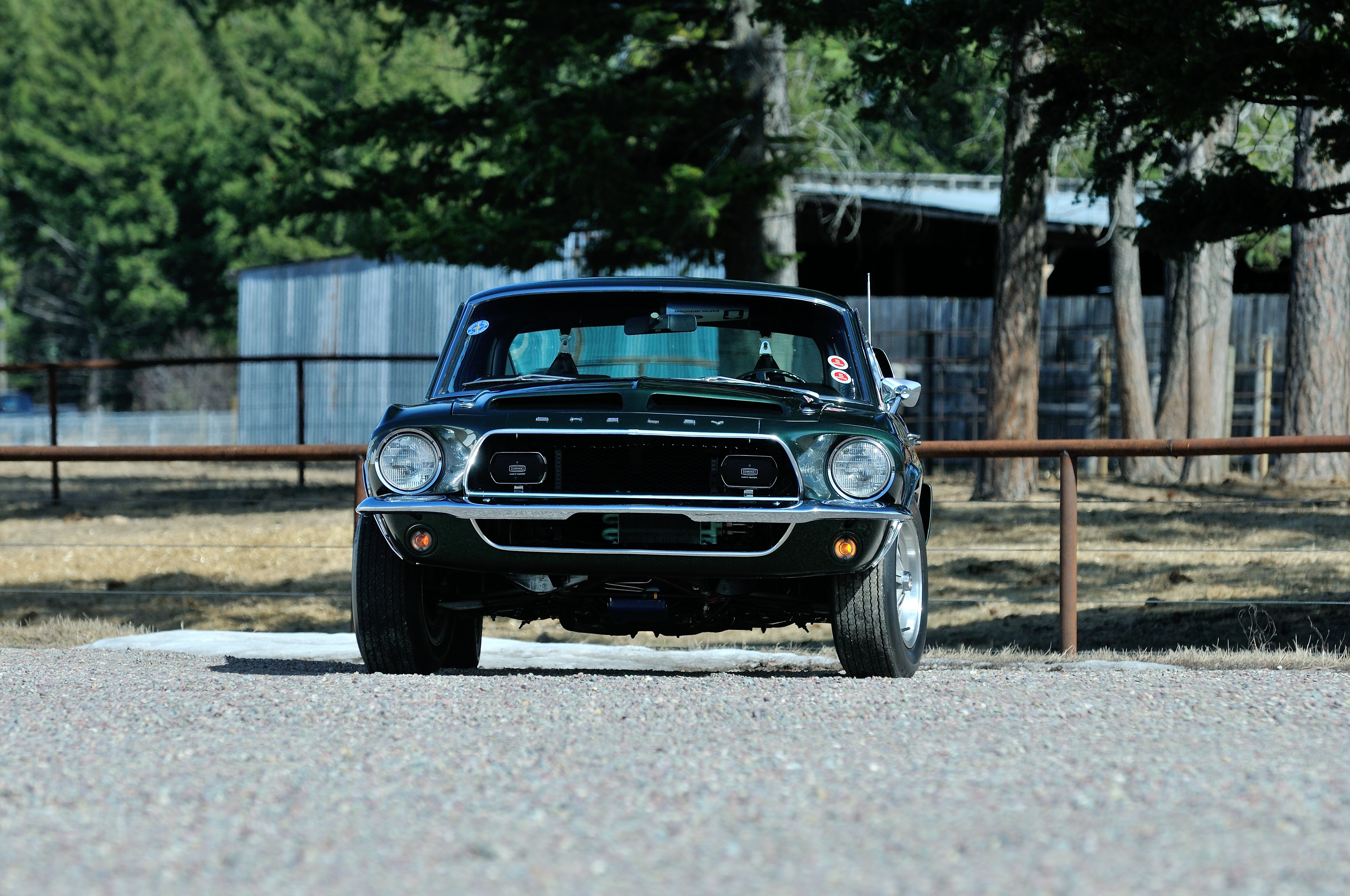1968, Ford, Mustang, Shelby, Gt500kr, Fastback, Muscle, Classic, Old, Original, Usa, 4288x2848 06 Wallpaper