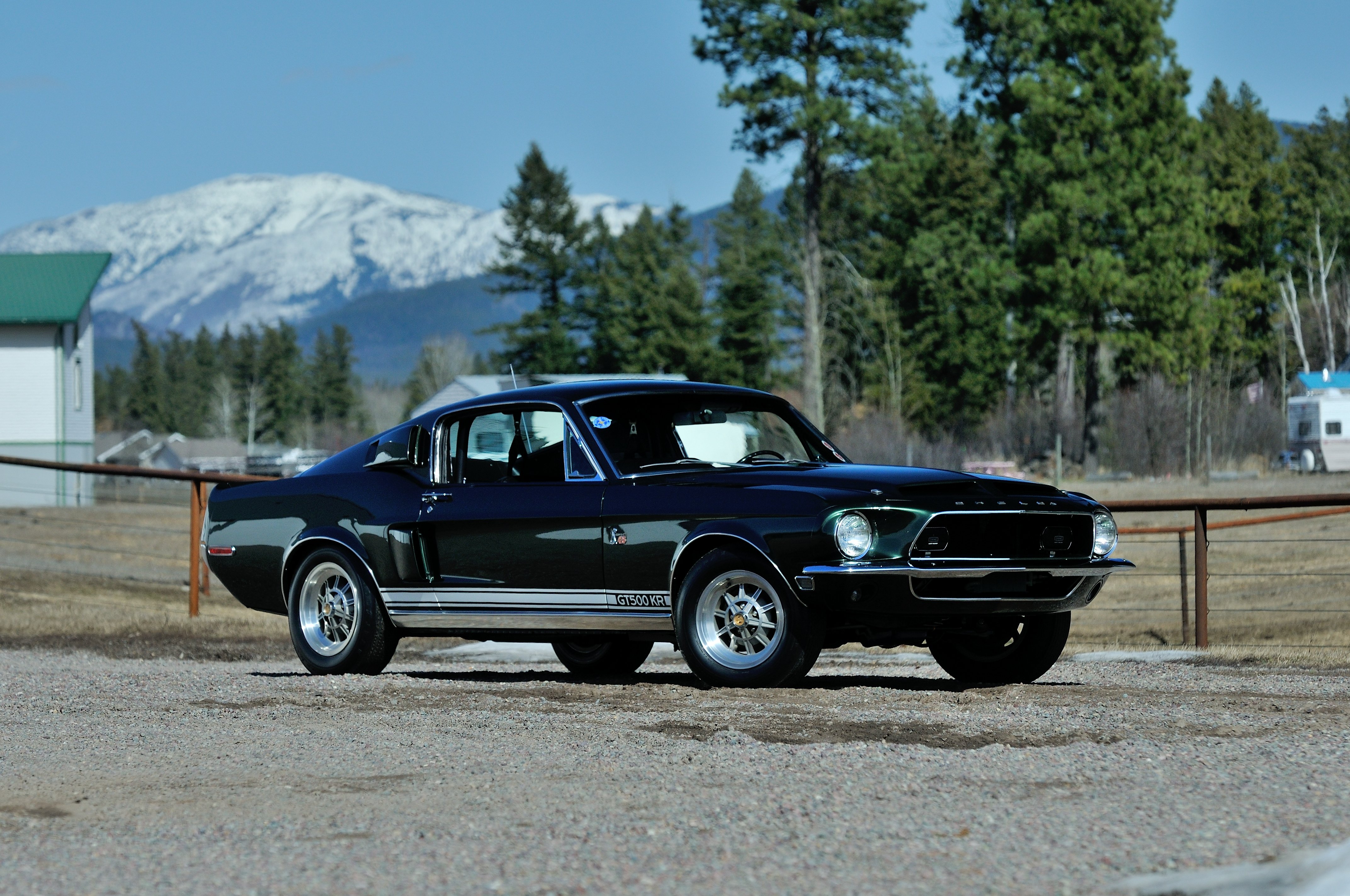 1968, Ford, Mustang, Shelby, Gt500kr, Fastback, Muscle, Classic, Old, Original, Usa, 4288x2848 07 Wallpaper