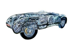 jaguar, C type, 1951, Cars, Cutaway, Technical