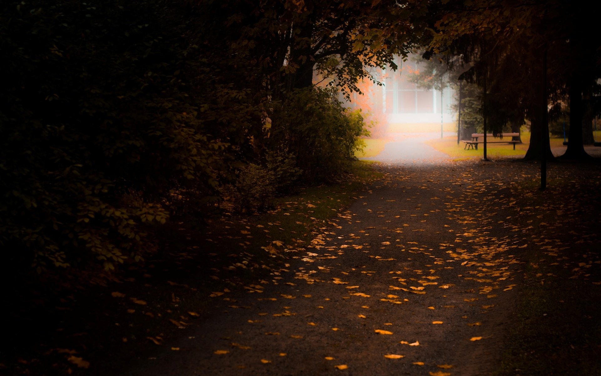 autumn, Path, Mood, Bokeh, Nature, Landscape, Forest Wallpaper