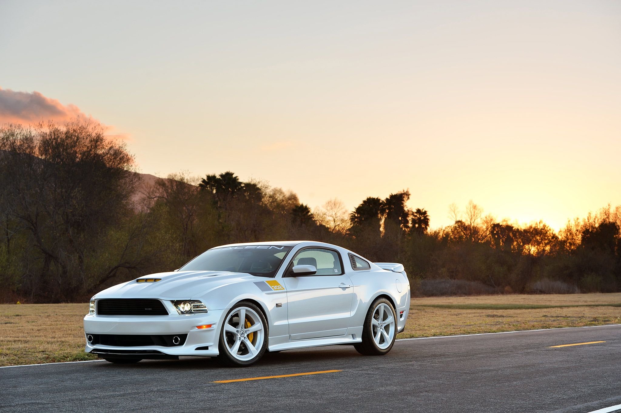 2014, Ford, Mustang, Saleen, Sa3, 02muscle, Super, Street, Usa, 2048x1360 01 Wallpaper