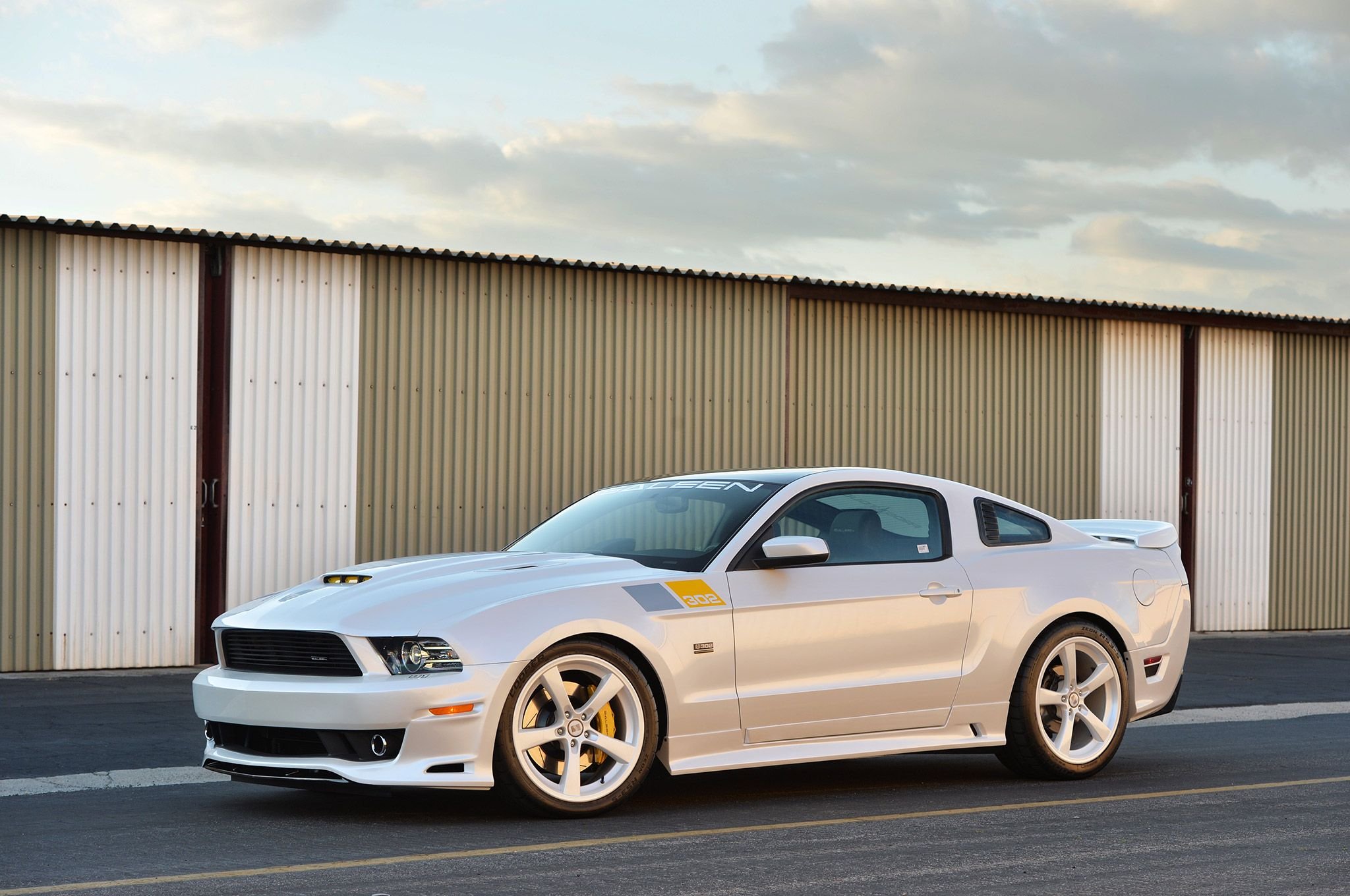 Saleen 302 Black Label Mustang