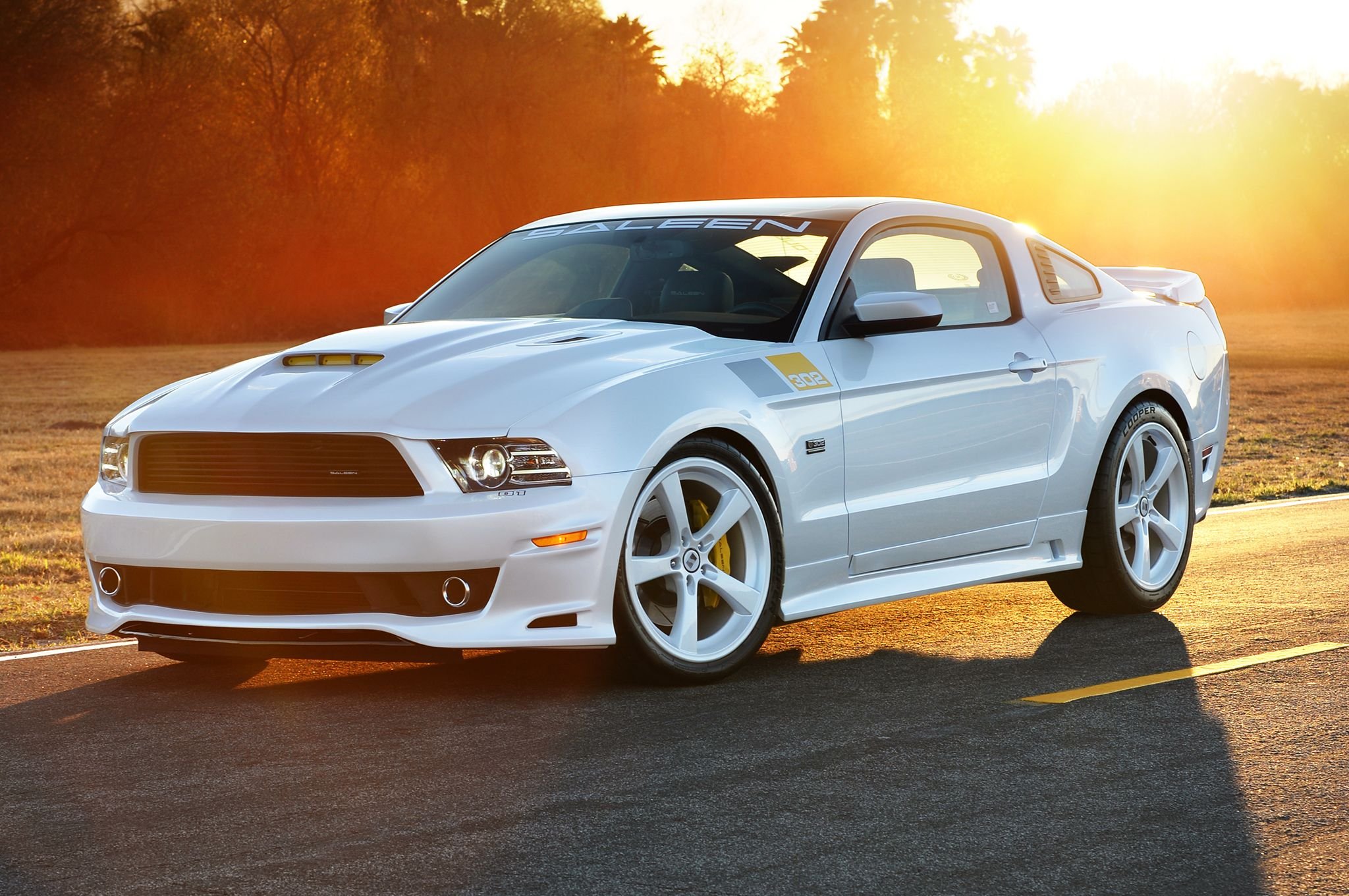 Gt 500 Ford Mustang Saleen