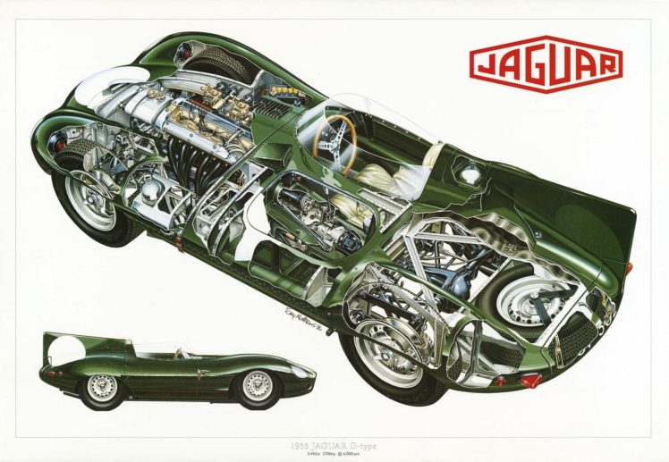 1955, Jaguar, D type, Cars, Technical, Cutaway HD Wallpaper Desktop Background