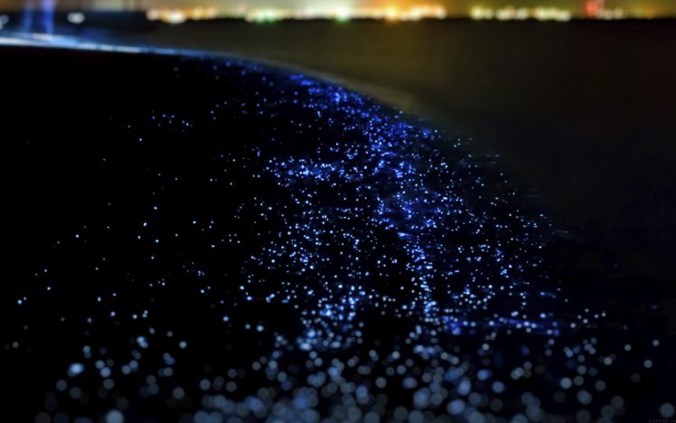 ocean night dark blink beautiful Wallpapers HD / Desktop and Mobile  Backgrounds