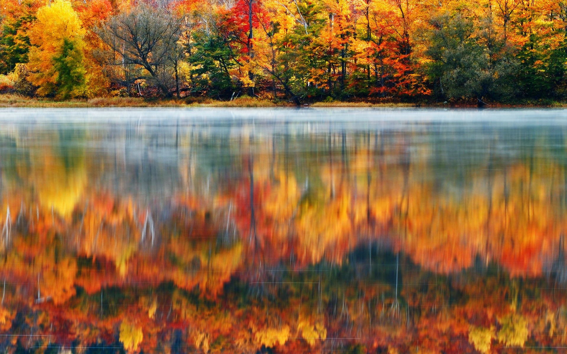 morning, Nature, Usa, Lake, New, Hampshire, Reflection, Autumn, Fog Wallpaper