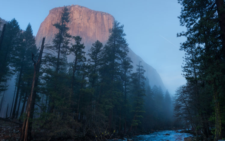 yosemite, Fog, Mist, Trees, Mountain, Forest, River HD Wallpaper Desktop Background