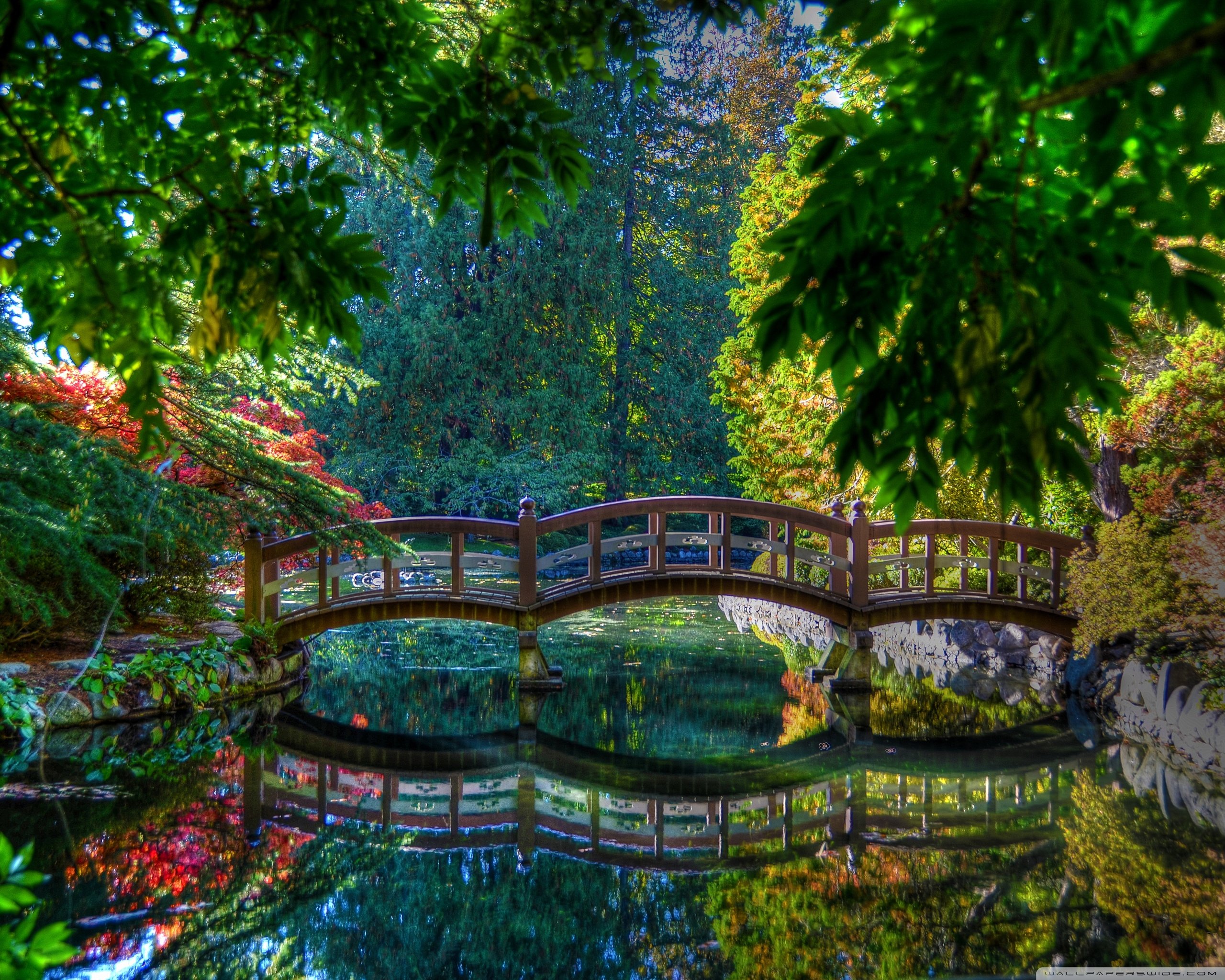 nature, Garde Wallpaper