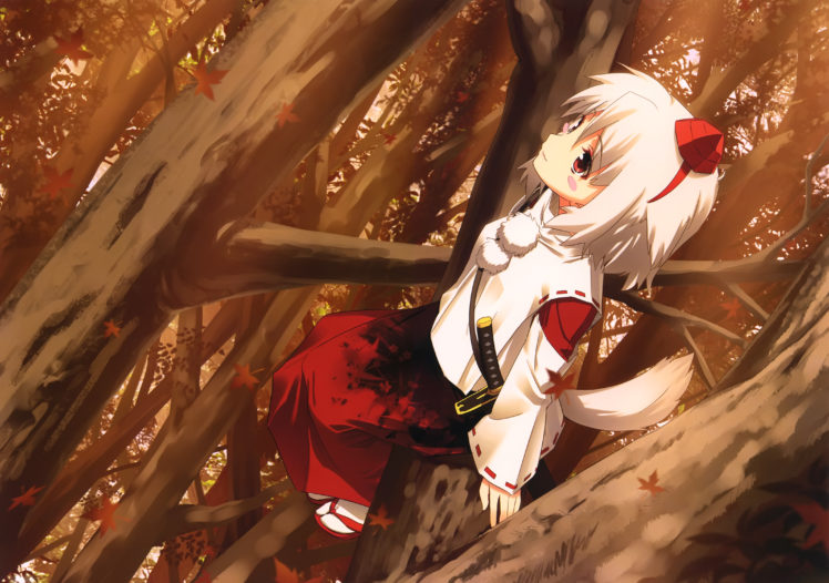 animal, Ears, Blush, Dress, Hat, Himorogi, Japanese, Clothes, Red, Eyes, Short, Hair, Sword, Tail, Touhou, Tree, Weapon, White, Hair, Wolfgirl, Yasuyuki HD Wallpaper Desktop Background