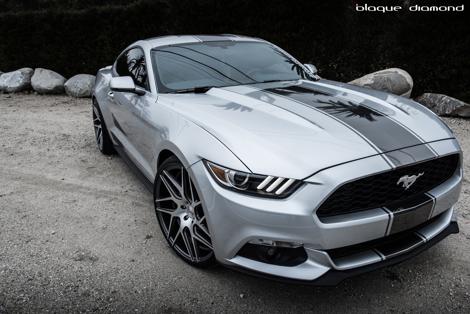 ford, Mustang gt, Coupe, Cars, 2015 Wallpaper