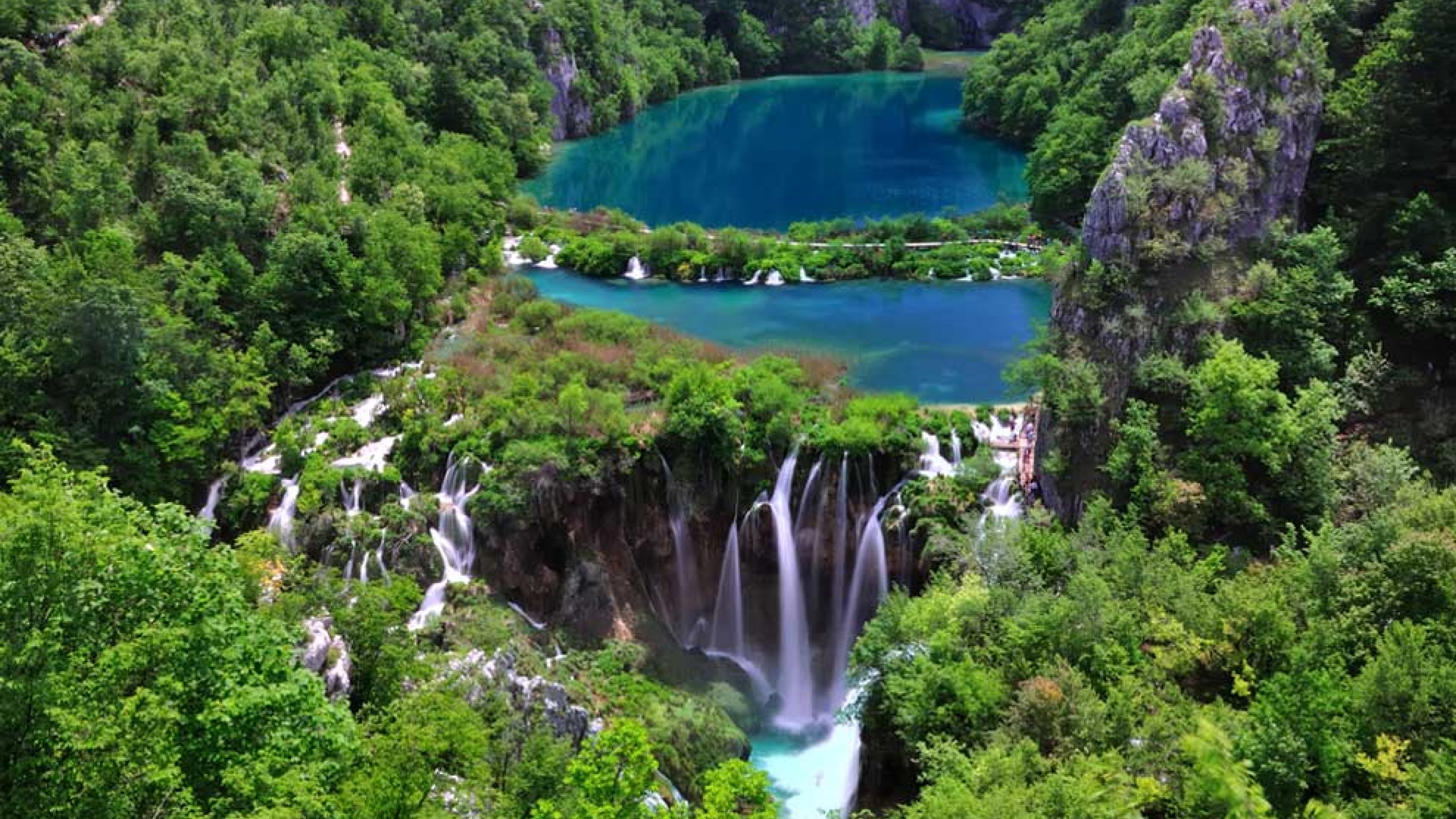 nature Wallpaper