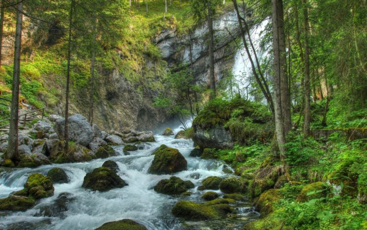 forest, Waterfall, River, Rocks, Landscape HD Wallpaper Desktop Background