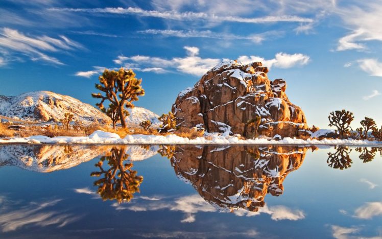 joshua, Tree, National, Park, Winter HD Wallpaper Desktop Background