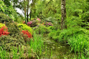 garden, Pond, Park, Trees, Shrubs, Nature, Landscape