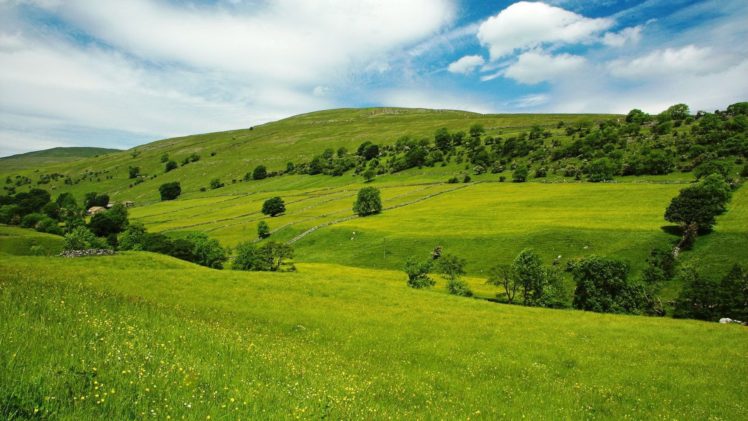 landscape, Grass, Trees, Herbs, Home, Sky HD Wallpaper Desktop Background