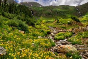 mountains, Trees, Forest, Stream, Rocks, Grass, Field, Flowers, Nature