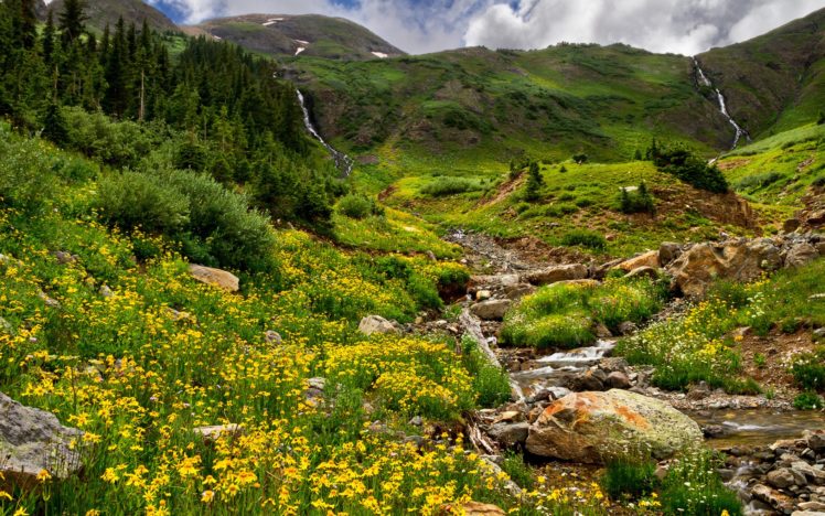 mountains, Trees, Forest, Stream, Rocks, Grass, Field, Flowers, Nature HD Wallpaper Desktop Background