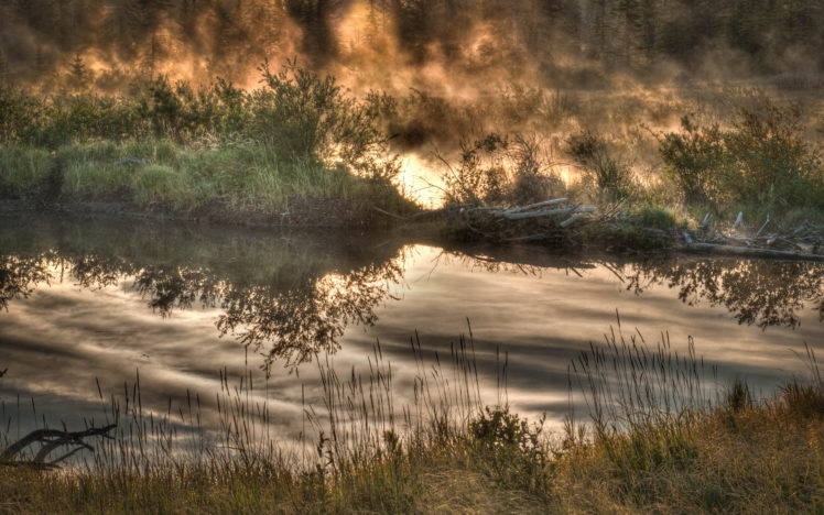 nature, Autumn, Bushes, Lake, Mist, Reflection HD Wallpaper Desktop Background