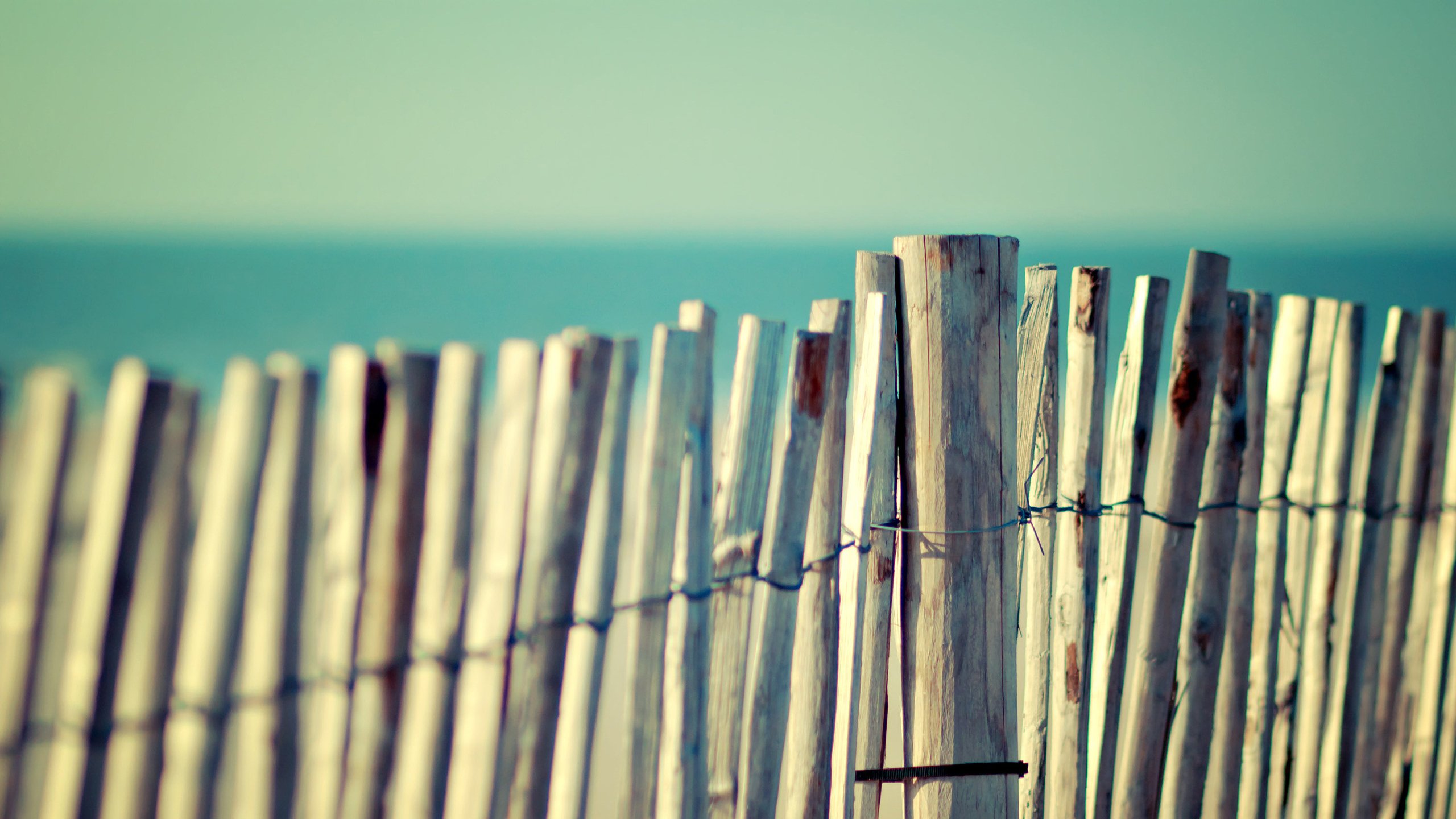 summer click to zoom fence Wallpaper