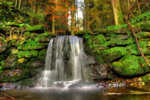 waterfall, Woods, Rocks, Landscape, Moss, Stream, Nature