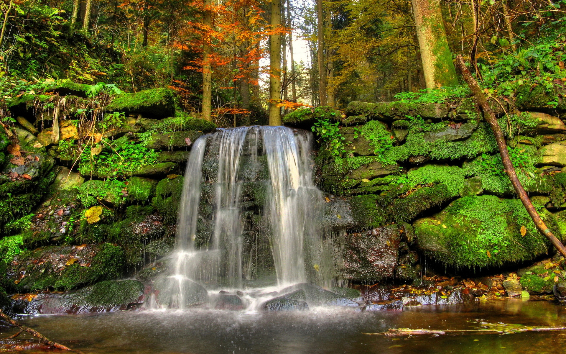 waterfall, Woods, Rocks, Landscape, Moss, Stream, Nature Wallpaper