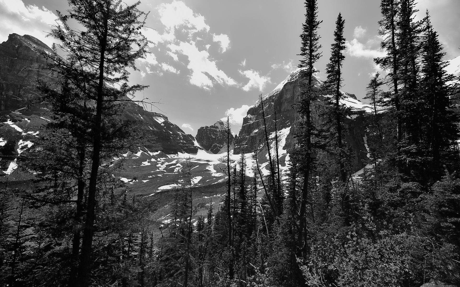landscape, Mountains, Bw, Trees, Forest Wallpaper