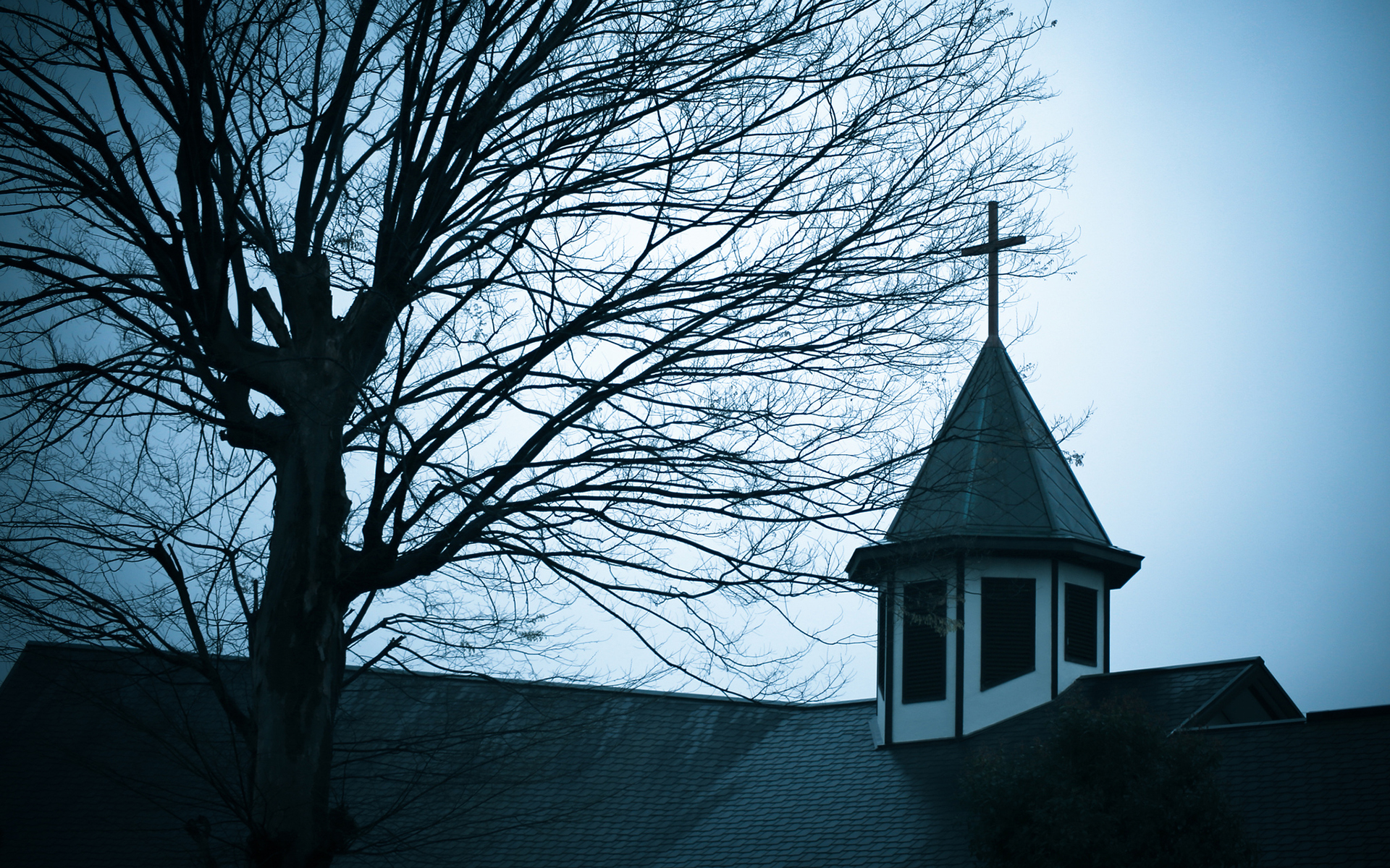 tree, Church, Cathedral, Steeple Wallpaper