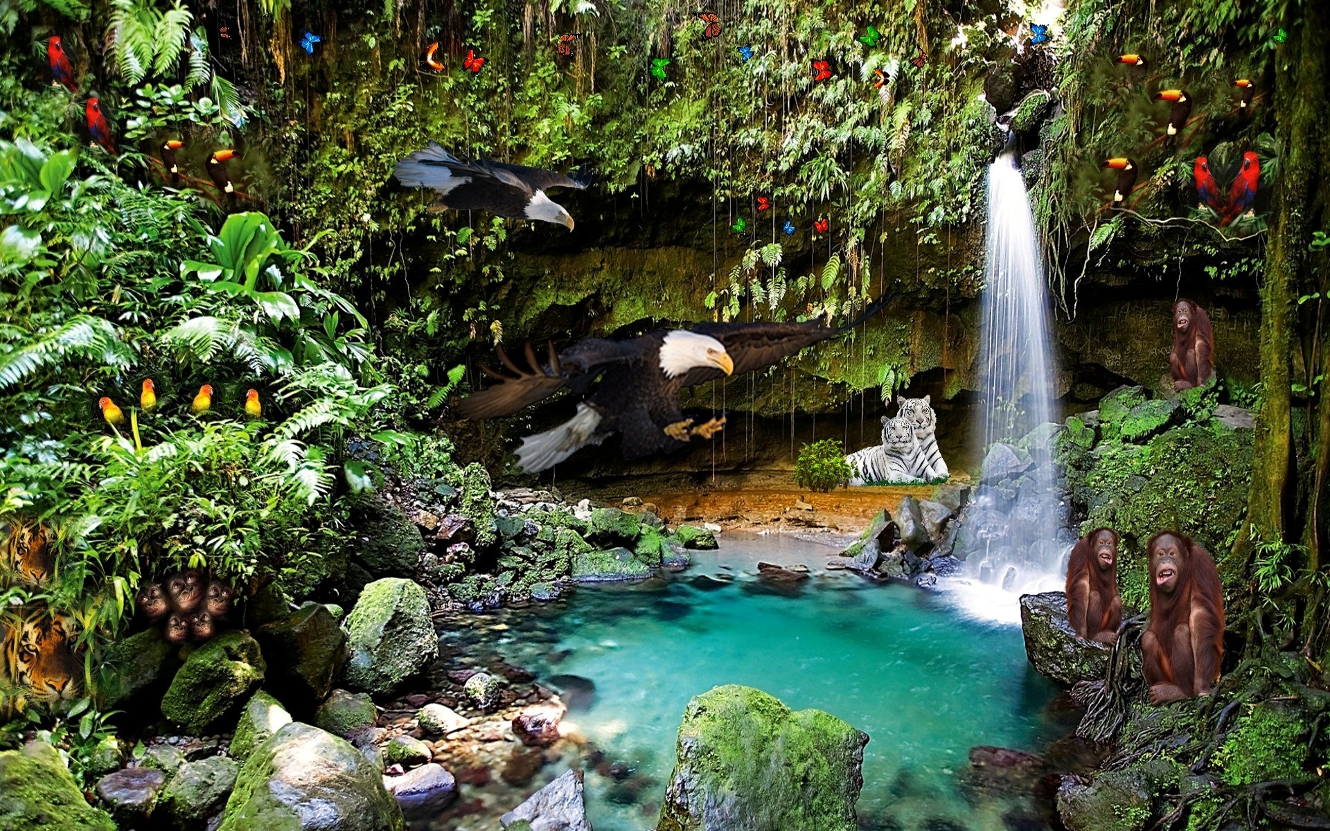 jungle Wallpaper