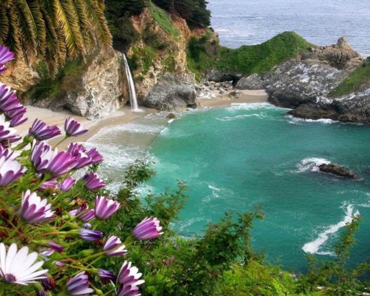 naturaleza, Paisaje, Playa, Acantilado, Flores HD Wallpaper Desktop Background