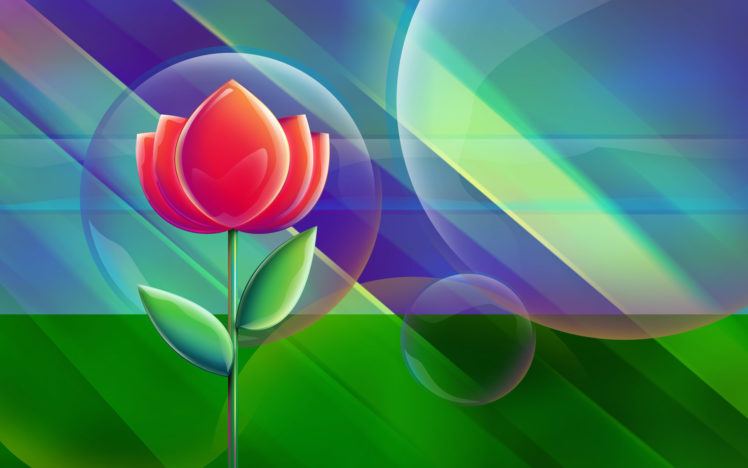 flower, Circles, Bubbles, Background, Line HD Wallpaper Desktop Background