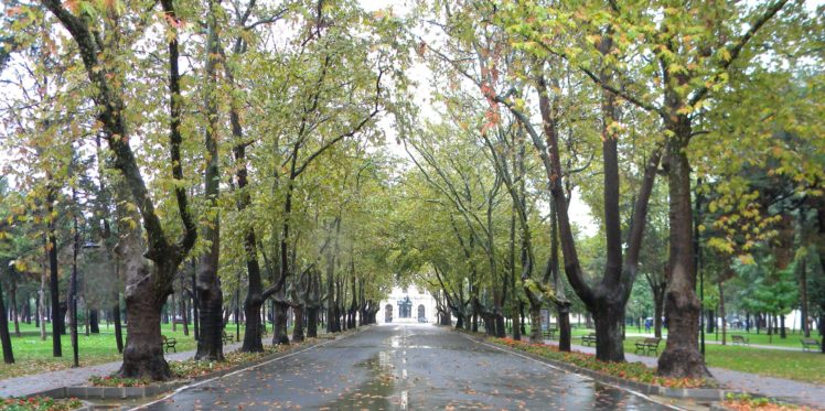 turkey, Istanbul, University, Trees, Leaves, Autumn HD Wallpaper Desktop Background