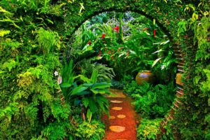 greenhouse, Plants, Garden