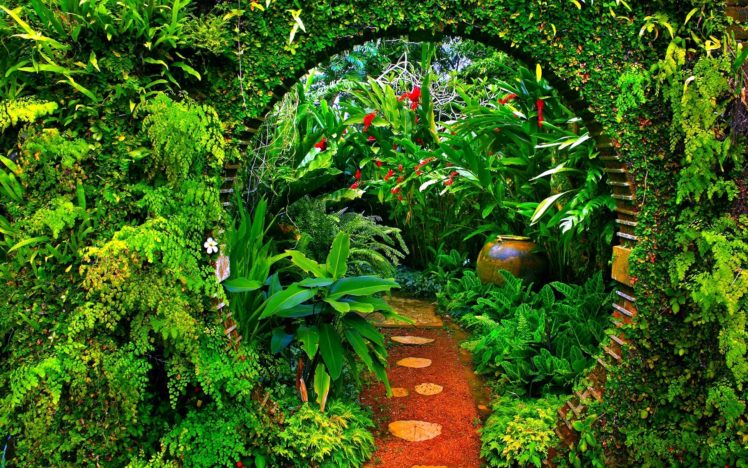 greenhouse, Plants, Garden HD Wallpaper Desktop Background