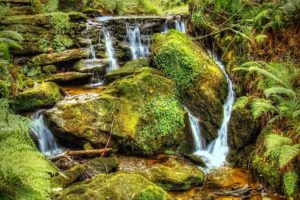 river, Stream, Waterfall, Stones, Moss, Plants, Nature