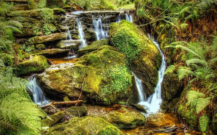 river, Stream, Waterfall, Stones, Moss, Plants, Nature HD Wallpaper Desktop Background