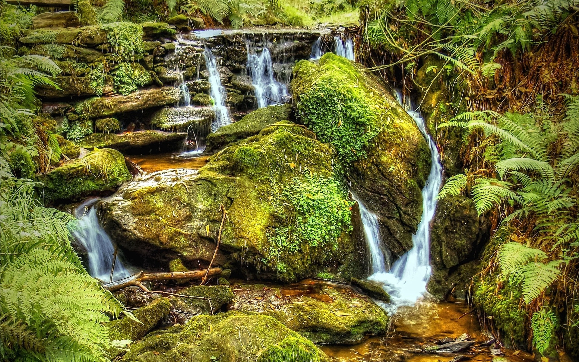 River Stream Waterfall Stones Moss Plants Nature Wallpapers Hd